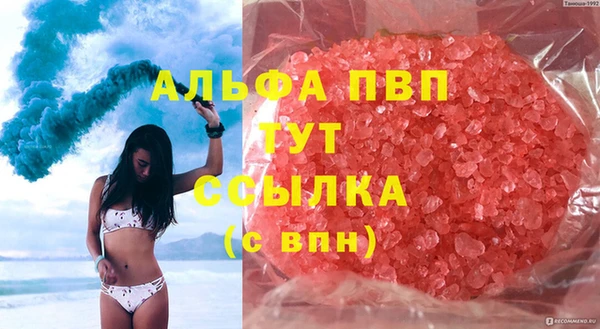 прущие грибы Каменск-Шахтинский