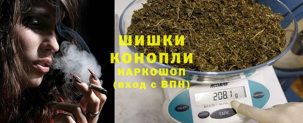 прущие грибы Каменск-Шахтинский